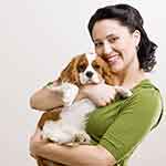 手机攻击器APP下载